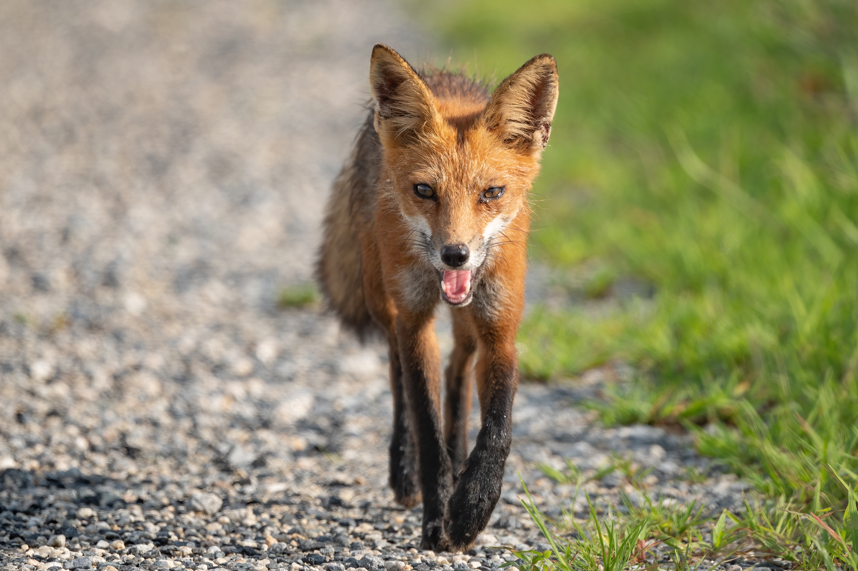 1st PrizeOpen Color In Class 2 By Lyn Miller For How Long Is That Lens OCT-2025.jpg